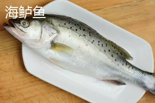 淡水鲈鱼的养殖具体方法(淡水鲈鱼如何养殖,需根据水色和透明度及时加注新水)?插图6 淡水鲈鱼的养殖具体方法(淡水鲈鱼如何养殖,需根据水色和透明度及时加注新水)?插图6