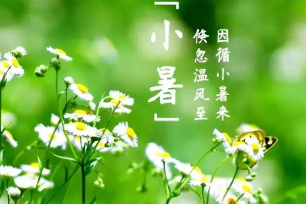 小暑是否是入伏第一天及入伏相关知识(小暑是入伏第一天吗及入伏知识)？插图1