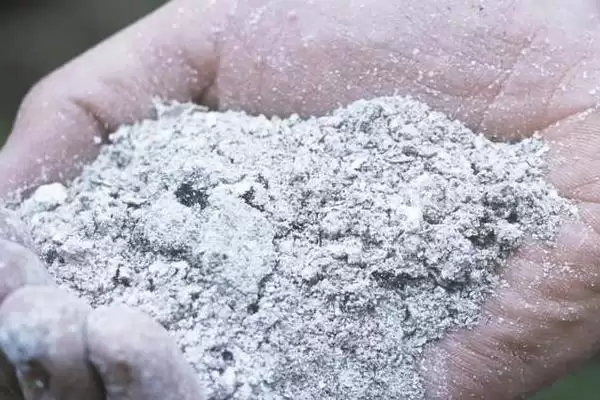 草木灰做肥料和农药使用方法(草木灰如何做肥料和农药使用)？插图3