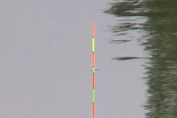 黑漂的含义相关情况介绍(黑漂是什么意思，指浮漂全部被鱼拉入水中)？插图1