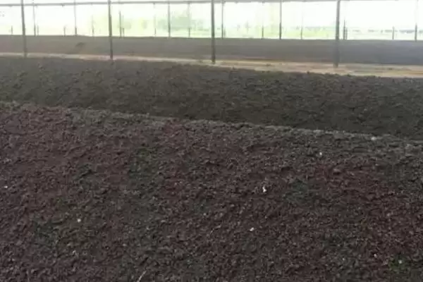 棚室内降低湿度方式介绍(棚室内降低湿度可选用无滴膜等)?插图10 棚室内降低湿度方式介绍(棚室内降低湿度可选用无滴膜等)?插图10