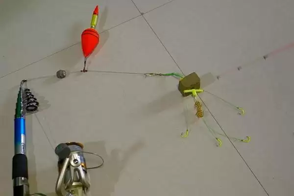 春季传统钓鲫鱼技巧、选钓点方法(春季传统钓鲫鱼的技巧，要根据时节选钓点)？插图2