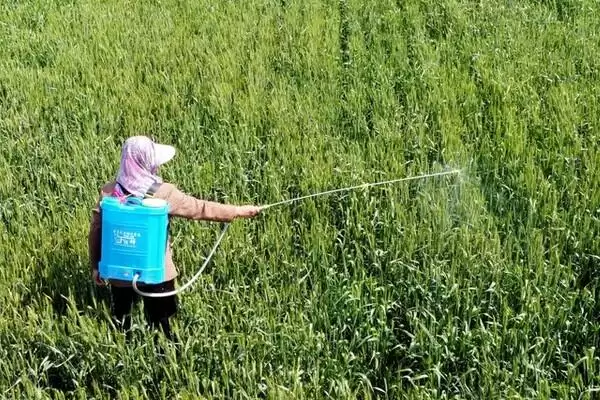 敌草隆的适用范围相关情况(敌草隆的适用范围,主要用于水稻、棉花、大豆等作物)?插图2 敌草隆的适用范围相关情况(敌草隆的适用范围,主要用于水稻、棉花、大豆等作物)?插图2