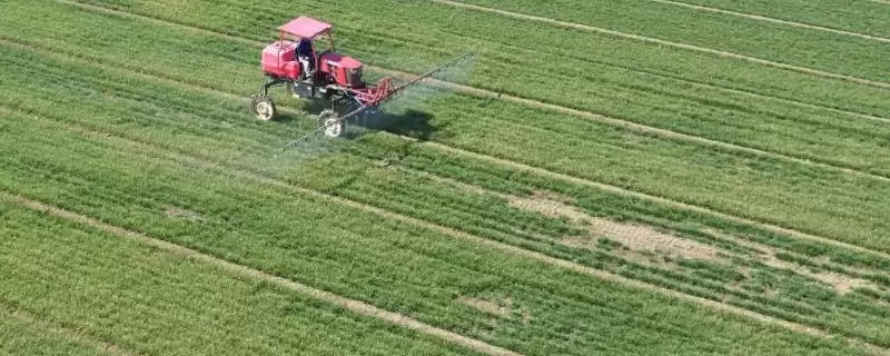 低温期间除草剂使用方法(低温期间怎么使用除草剂,可在晴天温度相对较高的时间段用药)?-会东网