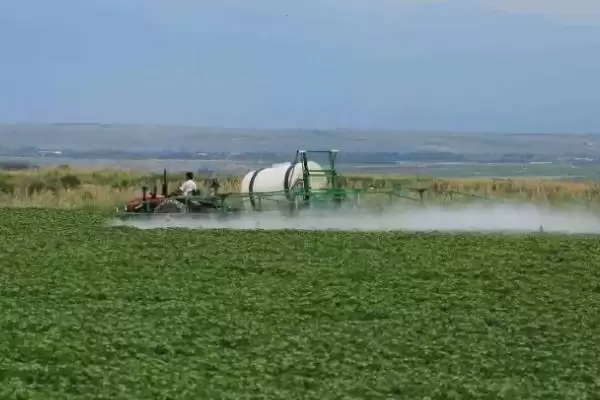 棉花苗期病害防治方法及包衣要点(怎么防治棉花苗期病害及包衣要点)?插图3 棉花苗期病害防治方法及包衣要点(怎么防治棉花苗期病害及包衣要点)?插图3