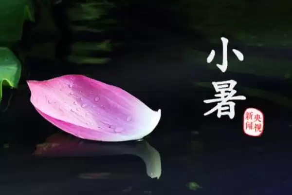 小暑是否是入伏第一天及入伏相关知识(小暑是入伏第一天吗及入伏知识)？插图6