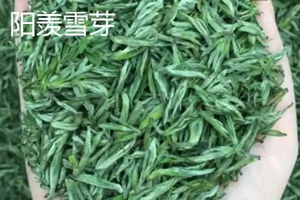 江苏名茶推荐相关品牌情况(江苏名茶推荐，介绍排行榜前十名)？插图5