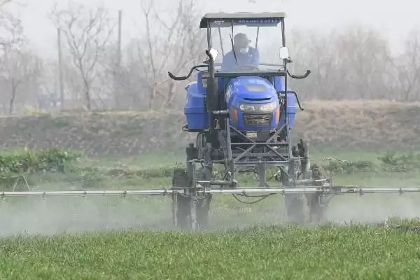 越冬时期小麦蚜虫防治方法及措施(越冬时期如何防治小麦蚜虫及措施)？插图2