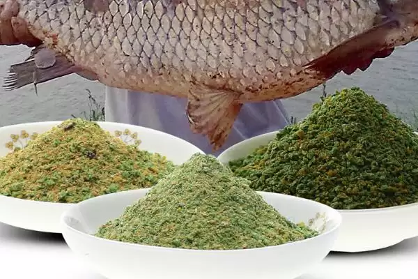 巨无霸青草鳊的味型相关情况(巨无霸青草鳊的味型，是一款酵香型商品饵料)？插图1