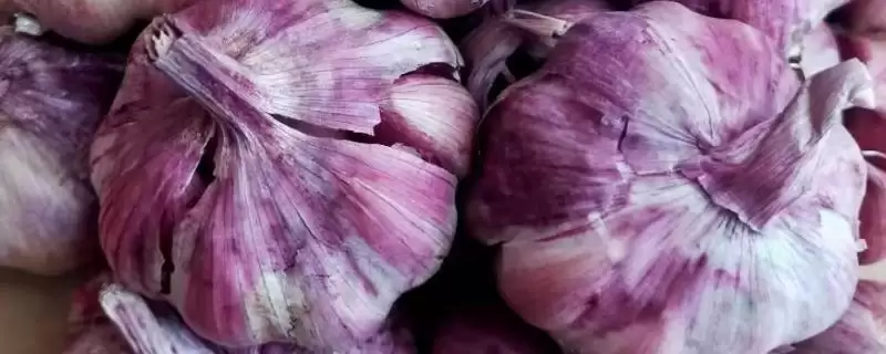 甘肃省民乐县的特产相关情况(甘肃省民乐县的特产,产出的苹果梨具有中国一代梨王的美誉)?插图 甘肃省民乐县的特产相关情况(甘肃省民乐县的特产,产出的苹果梨具有中国一代梨王的美誉)?插图