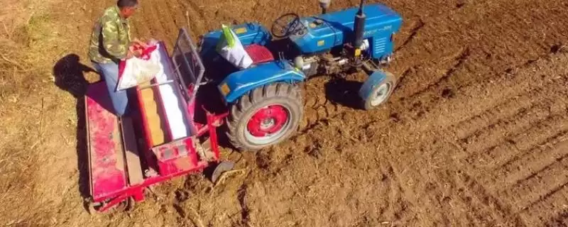 小麦施磷肥方法及氮钾锌肥配施要点(小麦施磷肥咋做及配施要点)?-会东网