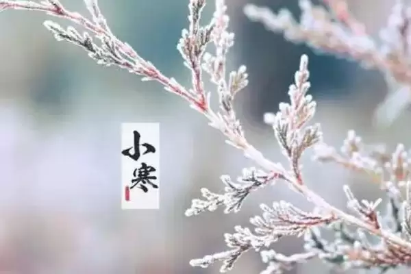 二十四节气的起源相关地区(二十四节气的起源，黄河流域是起源地)？插图5