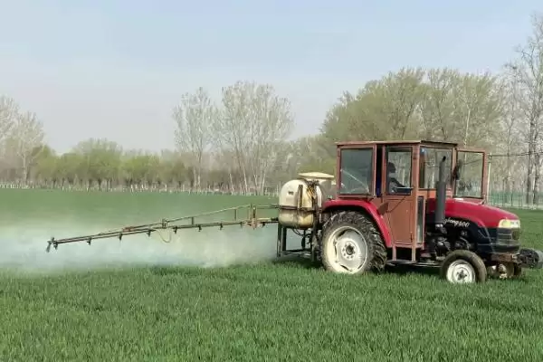 小麦田杂草防治方法及农业化学措施(小麦田杂草咋防治及防治措施)？插图3