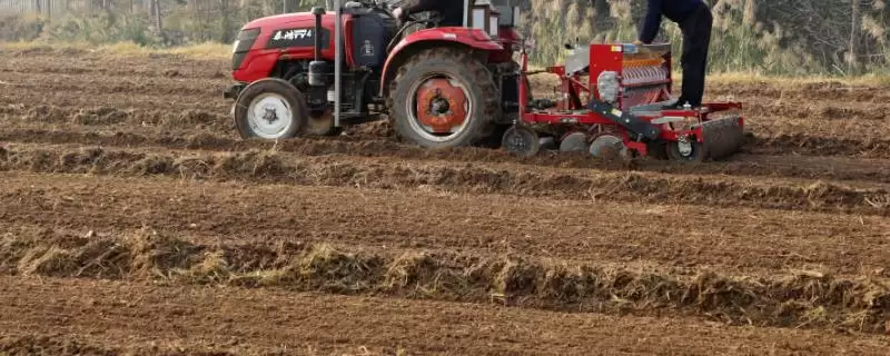 小麦播种后能否马上浇水及原因分析(小麦播种后能马上浇水吗及原因)?插图 小麦播种后能否马上浇水及原因分析(小麦播种后能马上浇水吗及原因)?插图