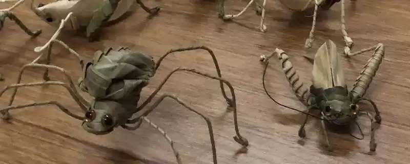 河北大名县的特产相关情况(河北大名县的特产，大蒜种全国驰名)？-会东网