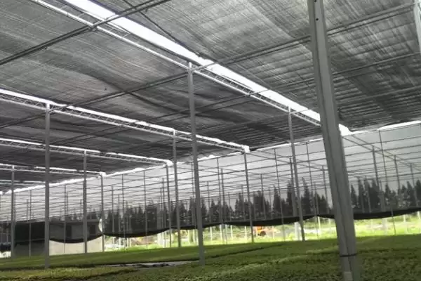 棚室内降低湿度方式介绍(棚室内降低湿度可选用无滴膜等)?插图1 棚室内降低湿度方式介绍(棚室内降低湿度可选用无滴膜等)?插图1