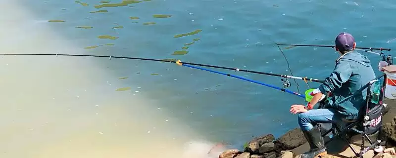 谷麦前打竿品牌推荐相关品牌(谷麦前打竿品牌推荐,一味、一击、青龙、魔星等品牌均为适宜选择)?-会东网