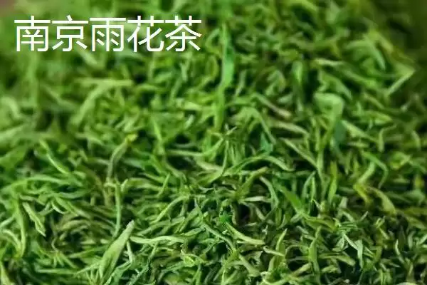 江苏名茶推荐相关品牌情况(江苏名茶推荐，介绍排行榜前十名)？插图1