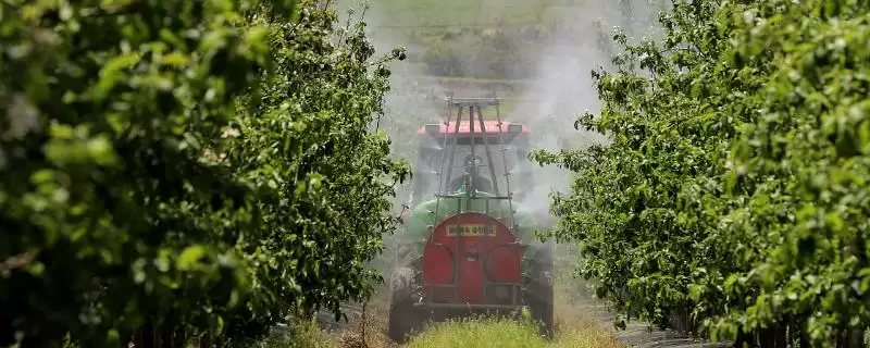 咪鲜胺作用介绍(咪鲜胺可防治子囊菌和半知菌病害)?-会东网