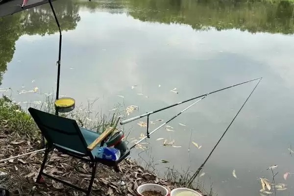 冬季南风是否适合野钓鲫鱼(冬季南风适合野钓鲫鱼吗，气温太低不太适合垂钓)？插图1