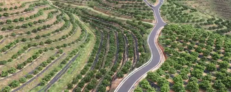 果园种植规划相关要点情况(果园如何种植规划，首先要建造小公路)？-会东网