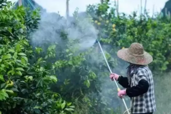 咪鲜胺作用介绍(咪鲜胺可防治子囊菌和半知菌病害)？插图1