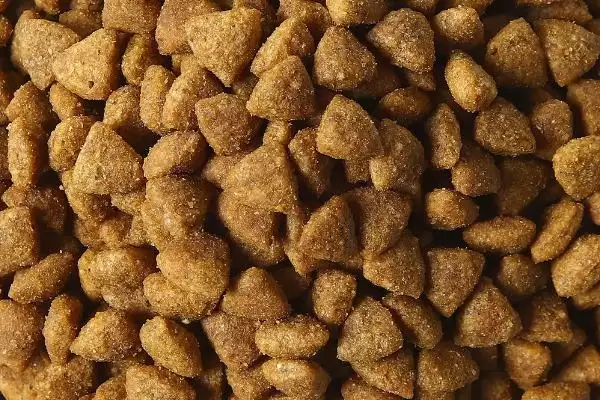 挑选好狗粮方法介绍(挑选好狗粮重要的是看配料表)?插图1 挑选好狗粮方法介绍(挑选好狗粮重要的是看配料表)?插图1