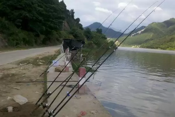 钓甲鱼方法及鱼竿要求相关说明(怎么钓甲鱼及对鱼竿要求说明)?插图9 钓甲鱼方法及鱼竿要求相关说明(怎么钓甲鱼及对鱼竿要求说明)?插图9