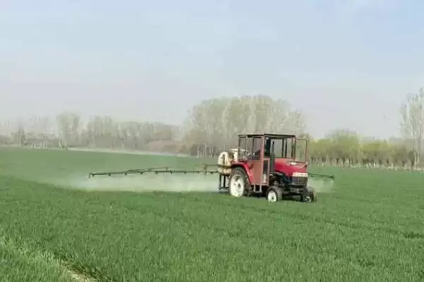除草剂不同品种残留期不同(除草剂残留期与品种关系有哪些要点)？插图3