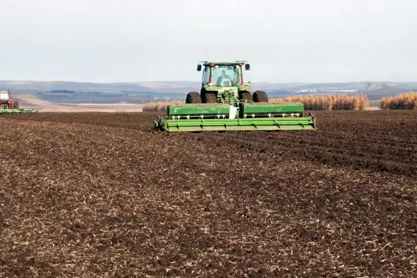 小麦种植时间和方法及气候影响因素(小麦啥时种咋种及气候影响因素)？插图2