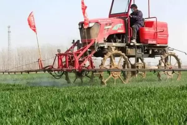 小麦田杂草防治方法及农业化学措施(小麦田杂草咋防治及防治措施)？插图1