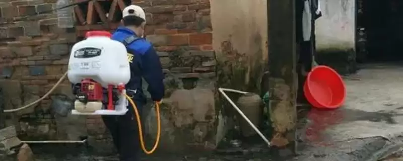 小型植保器械清洗方法及药物类型影响(小型植保器械咋清洗及药物影响)?-会东网