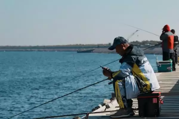 春季传统钓鲫鱼技巧、选钓点方法(春季传统钓鲫鱼的技巧，要根据时节选钓点)？插图4