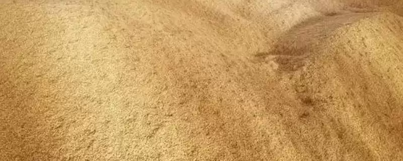 稻谷堆温度过高会产生霉变甚至发芽霉烂(稻谷堆温度过高危害有何影响)？-会东网