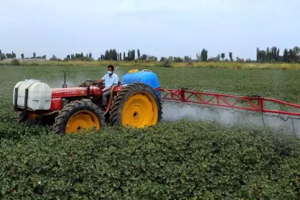棉花药害补救方法介绍(棉花药害可喷清水稀释农药补救)?插图1 棉花药害补救方法介绍(棉花药害可喷清水稀释农药补救)?插图1