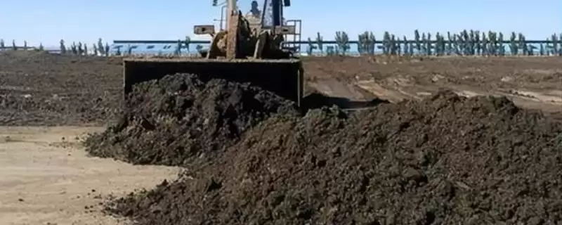 牛羊粪发酵方式介绍(牛粪需晾晒后才能发酵)？-会东网