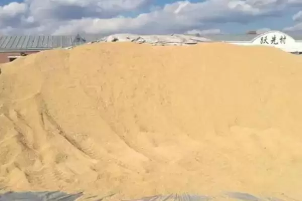 稻谷堆温度过高会产生霉变甚至发芽霉烂(稻谷堆温度过高危害有何影响)？插图1