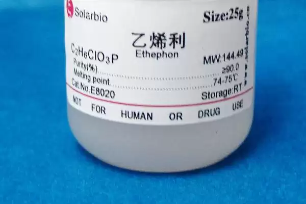 催熟小麦的常用药物种类(催熟小麦的药物有哪些,常用的有乙烯利、多效唑和磷酸二氢钾等)?插图1 催熟小麦的常用药物种类(催熟小麦的药物有哪些,常用的有乙烯利、多效唑和磷酸二氢钾等)?插图1