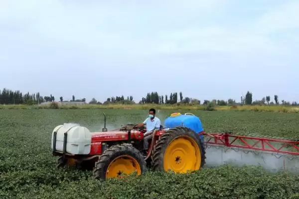 棉花立枯病防治方法介绍(稻棉轮作可防棉花立枯病)?插图1 棉花立枯病防治方法介绍(稻棉轮作可防棉花立枯病)?插图1