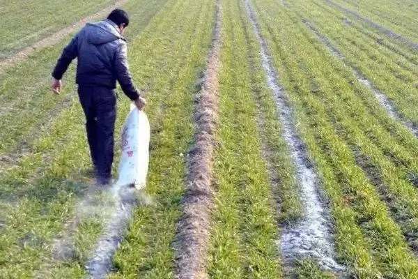 棚室内降低湿度方式介绍(棚室内降低湿度可选用无滴膜等)?插图8 棚室内降低湿度方式介绍(棚室内降低湿度可选用无滴膜等)?插图8