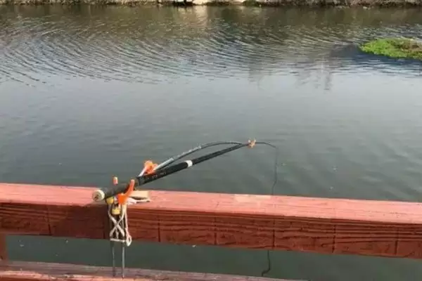 钓白条鱼的技巧相关要点(钓白条鱼的技巧,主流钓法是钓浮)?插图2 钓白条鱼的技巧相关要点(钓白条鱼的技巧,主流钓法是钓浮)?插图2