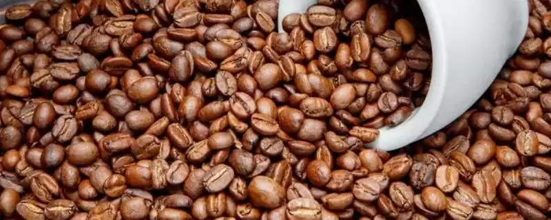 咖啡豆的种类及口感差异(咖啡豆的种类，口感均不同)？-会东网