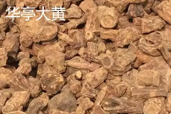 甘肃省民乐县的特产相关情况(甘肃省民乐县的特产,产出的苹果梨具有中国一代梨王的美誉)?插图8 甘肃省民乐县的特产相关情况(甘肃省民乐县的特产,产出的苹果梨具有中国一代梨王的美誉)?插图8