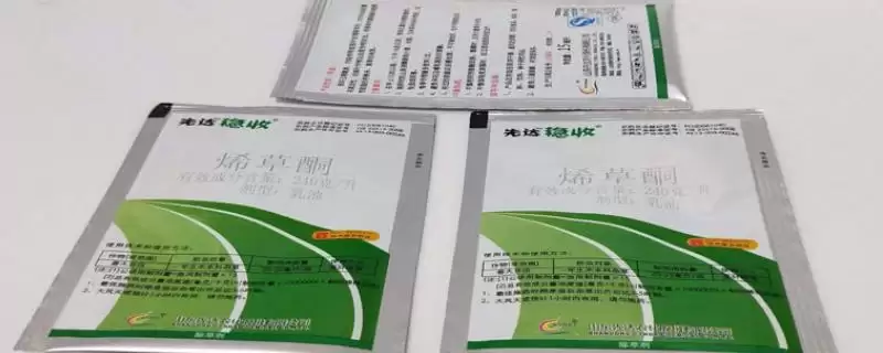 烯草酮使用效果最佳时期及说明(在什么时候用烯草酮效果好及说明)?-会东网