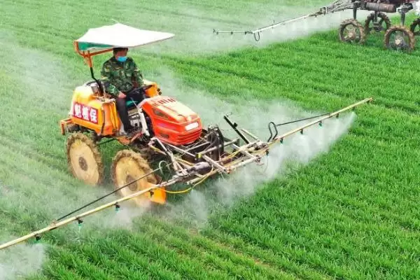 小麦种植时间和方法及气候影响因素(小麦啥时种咋种及气候影响因素)？插图5