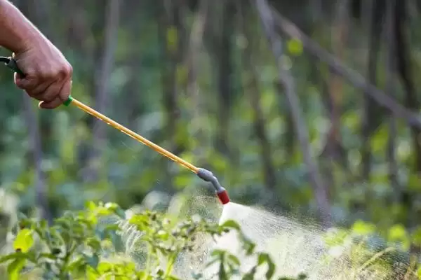 小型植保器械清洗方法及药物类型影响(小型植保器械咋清洗及药物影响)?插图4 小型植保器械清洗方法及药物类型影响(小型植保器械咋清洗及药物影响)?插图4