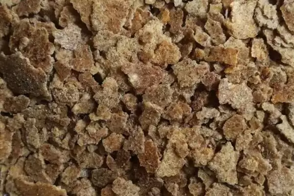 初冬钓鱼打窝选择及五种窝料介绍(初冬钓鱼用什么打窝好及窝料介绍)?插图3 初冬钓鱼打窝选择及五种窝料介绍(初冬钓鱼用什么打窝好及窝料介绍)?插图3