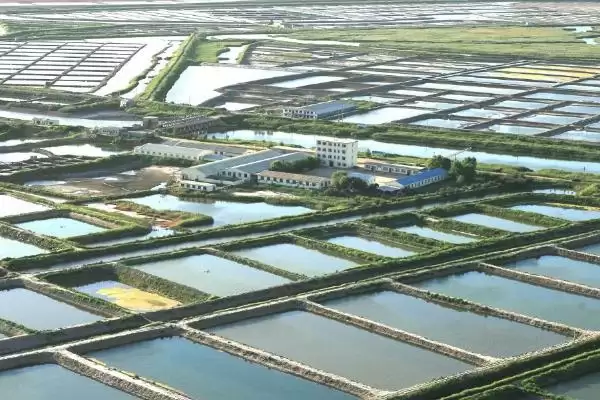 龙虾养殖基地分布介绍(湖南、重庆等地有龙虾养殖基地)?插图4 龙虾养殖基地分布介绍(湖南、重庆等地有龙虾养殖基地)?插图4