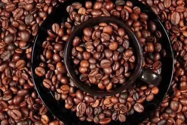 咖啡的原产地相关情况介绍(咖啡的原产地，原产于埃塞俄比亚西南部的高原地区)？插图2