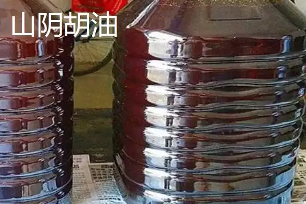 山西省山阴县特产介绍(山西省山阴县特产有油炸糕、荷藕等)？插图6